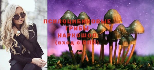 ECSTASY Снежинск