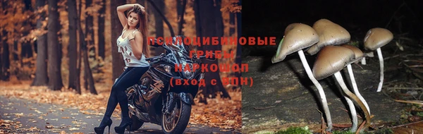COCAINE Верея