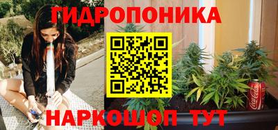 сатива Мариинск