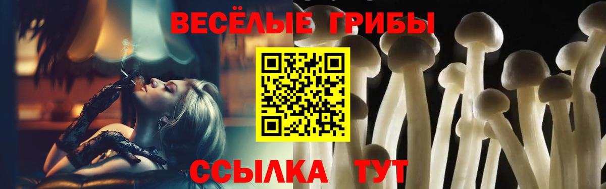 Славянск-на-Кубани  Галлюциногенные грибы Magic Shrooms  Вход с VPN 